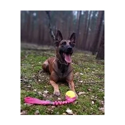 NIE TONIE – piłka 7 cm z amortyzowaną rączką